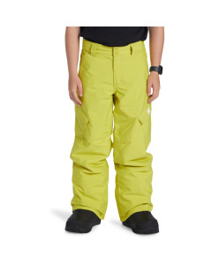 Dc shoes banshee youth pant apple green 2025 pantalone ragazzo snowboard