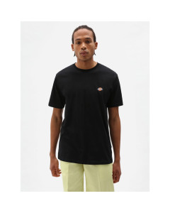 Dickies t-shirt mapleton ss tee black 2023