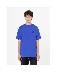 Dickies t-shirt mount vista ss tee satin sky 2023