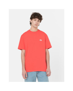 Dickies t-shirt maniche corte summerdale ss tee bittersweet 2023