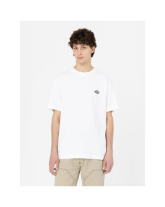 Dickies t-shirt maniche corte summerdale ss tee white 2023